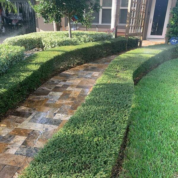 landscape maintenance image